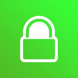 online security padlock for secure purchases